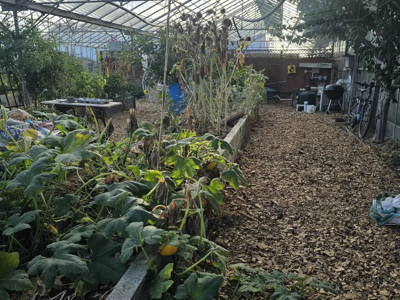 Landscaping and garden design project in Guernsey